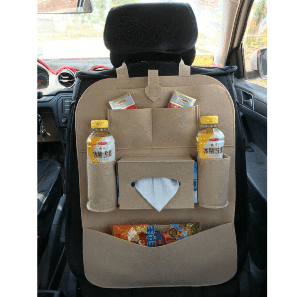 ORGANIZADOR DE CARRO