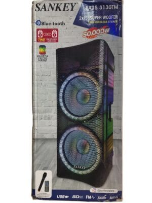 CABINA SANKEY 15 X2 320W PA - 3130TM