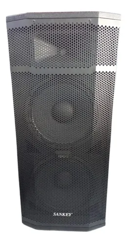 Vista alterna de CABINA DOBLE 15" DE SONIDO PROFESIONAL SANKEY